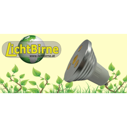 LichtBirne LM240 W4GU10 *AKTION*